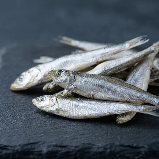 Kenapa Ikan Bilis Nampak Berkilat atau Kebiruan? (Mitos vs Realiti)