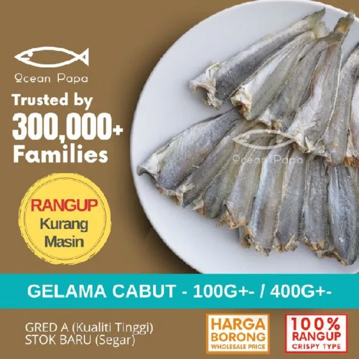 Ikan Masin Gelama Cabut Kepala Gred A - 400g