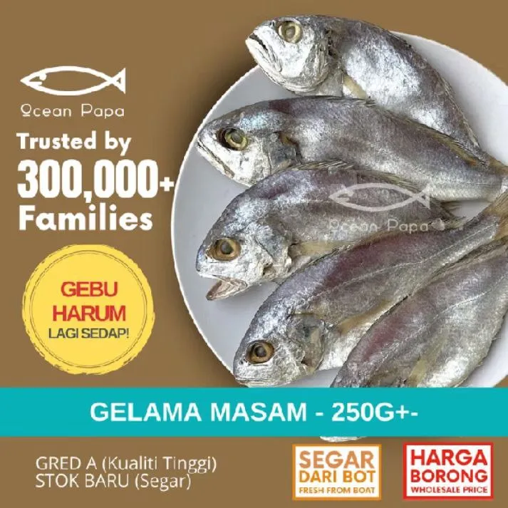 Ikan Masin Gelama Masam Gred A - 250g