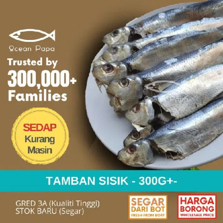 Ikan Masin Tamban Sisik Gred 3A - 300g